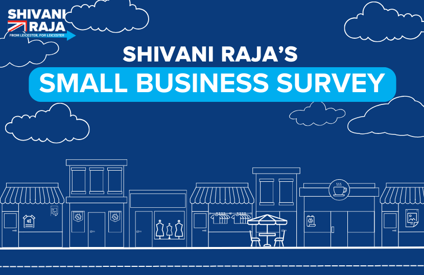 Shivani Raja's Small Business Survey