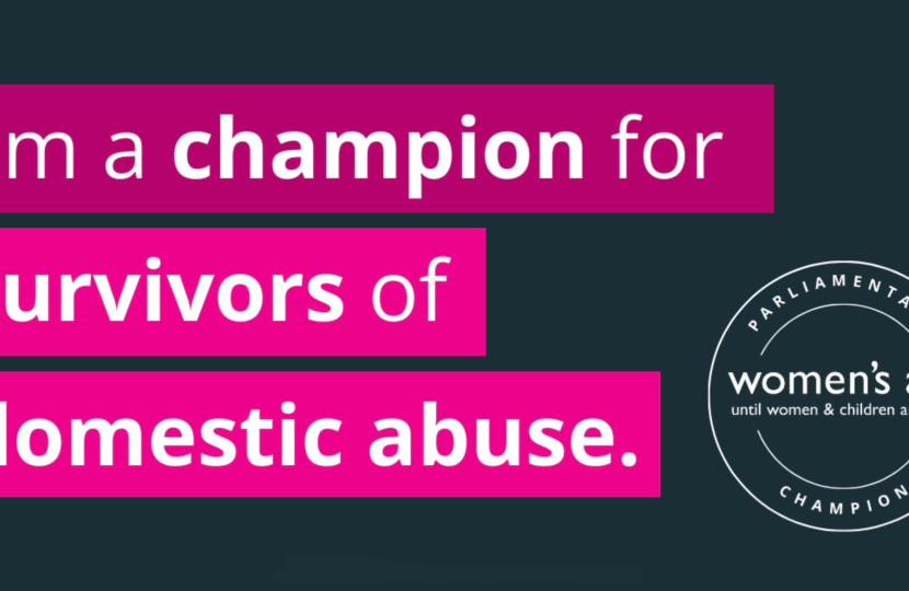 Image reads 'I'm a champion for survivors of domestic abuse'